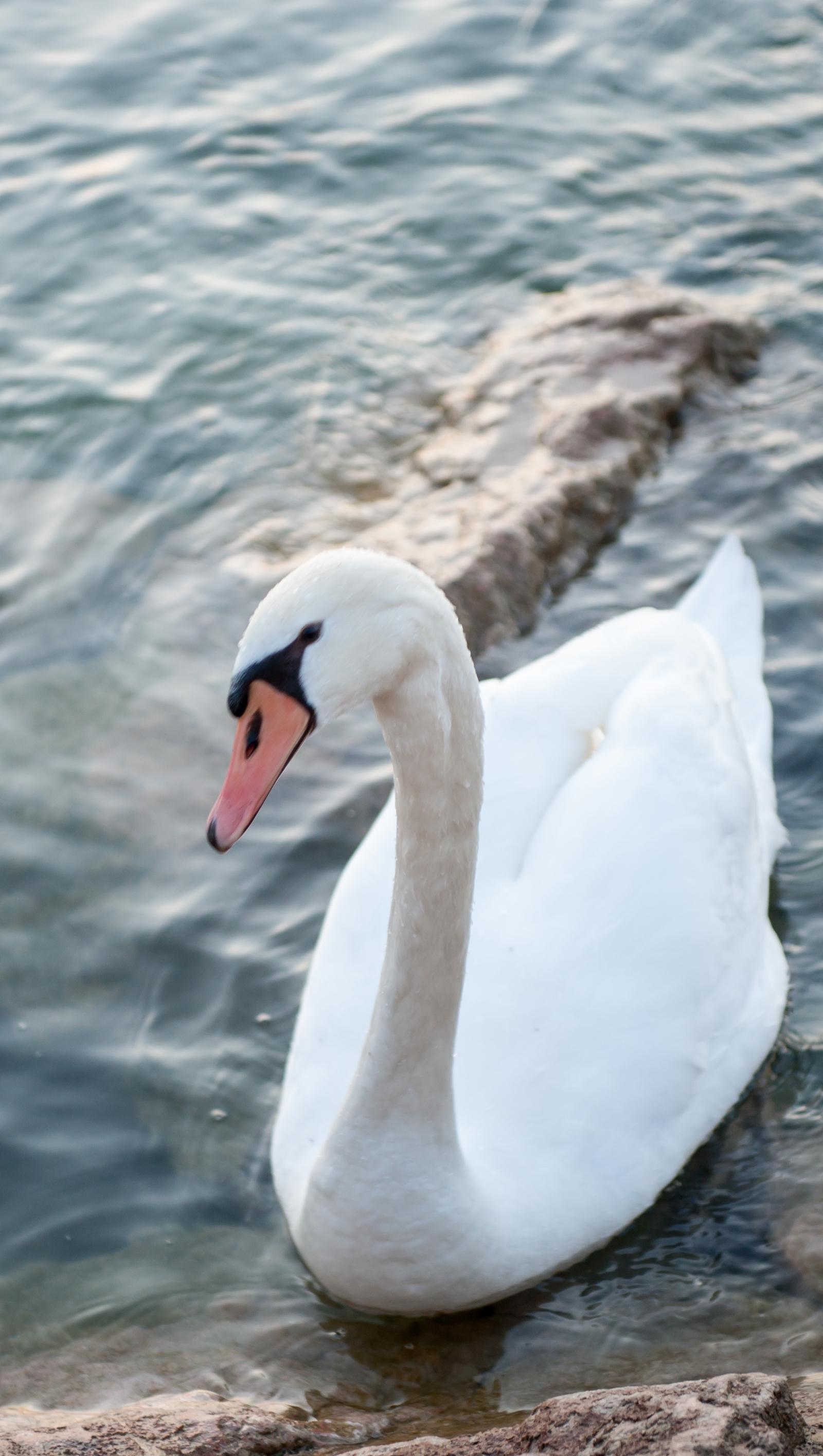 Riverside Living Commands a Premium: Lake Lotawana Is Kansas City's Hottest Investment Address